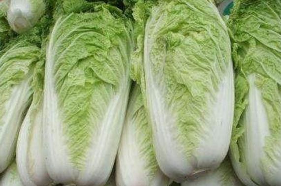 白菜